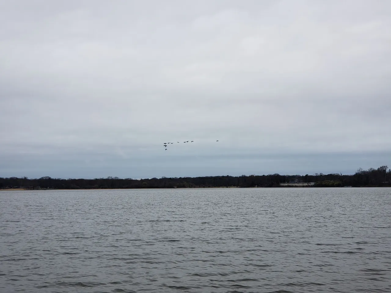 20250406_115113 - Copy.jpg