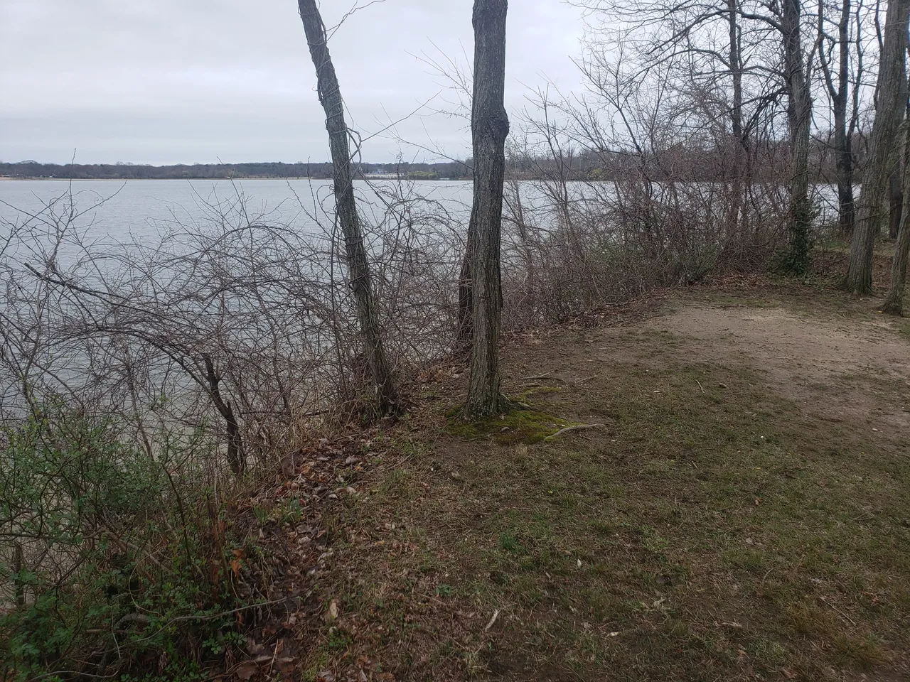20250406_115743 - Copy.jpg