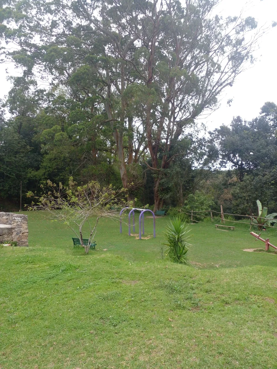 20250509_111017.jpg