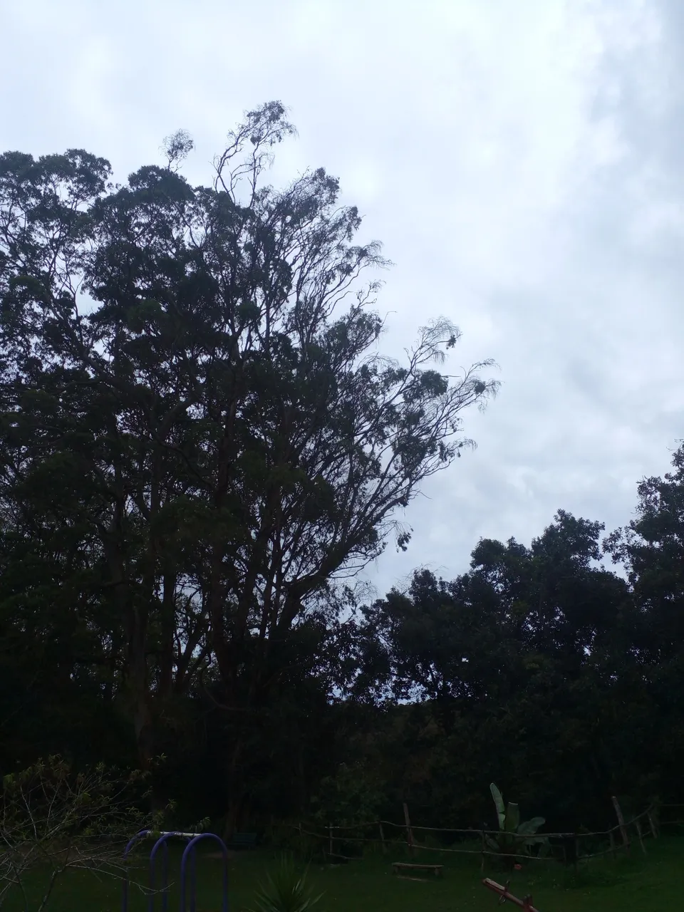 20250509_111014.jpg