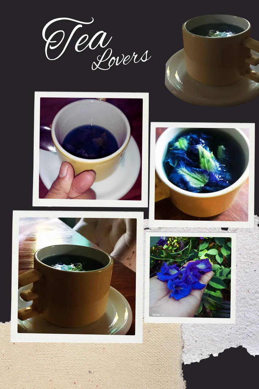 Brown Organic Coffee Photo Collage (1).png