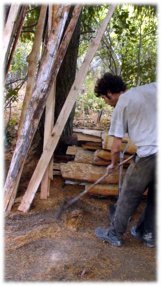 Rastrillando pinocha | Raking pine needles