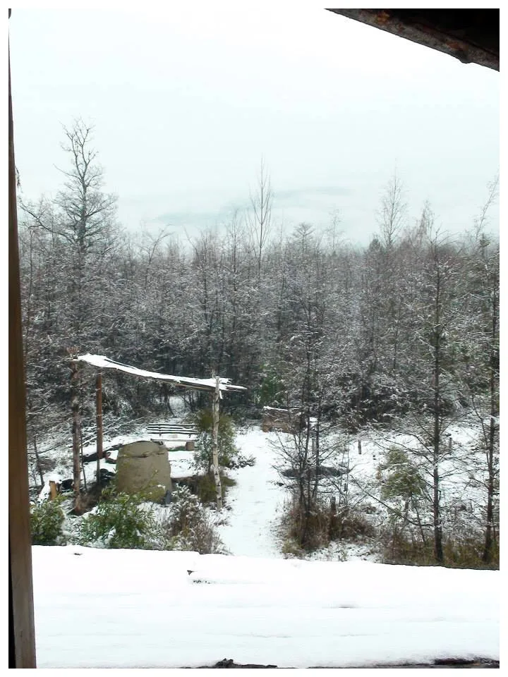 El invierno | The winter