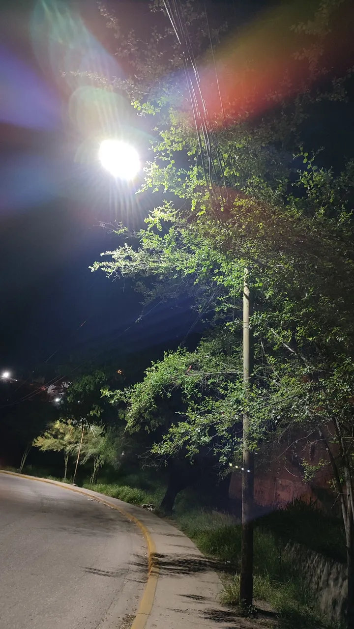 IMG_20220616_201916.jpg