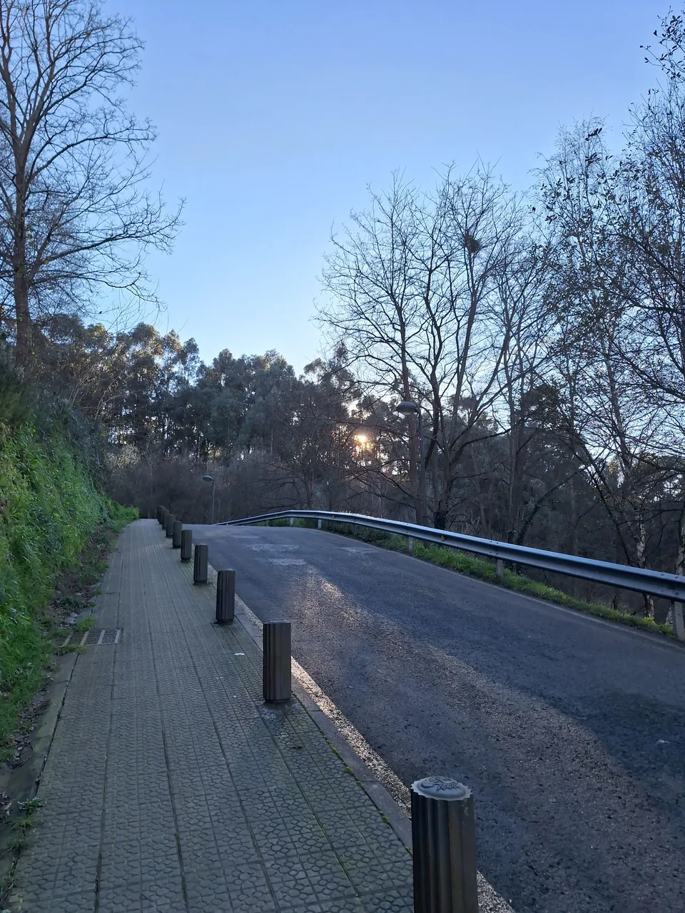 1000026646.jpg