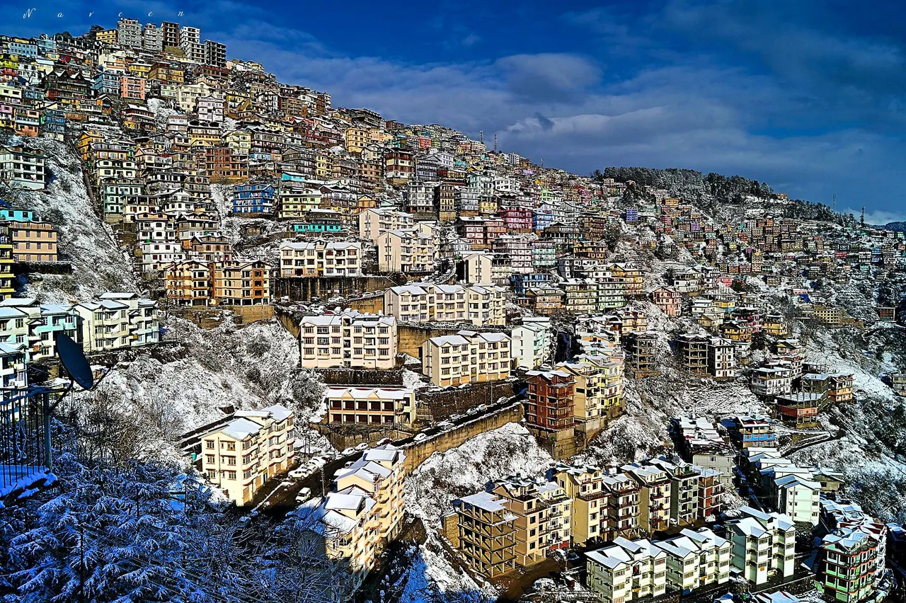 shimla.JPG