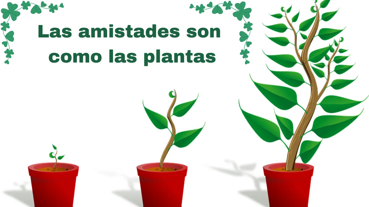 plantas.png