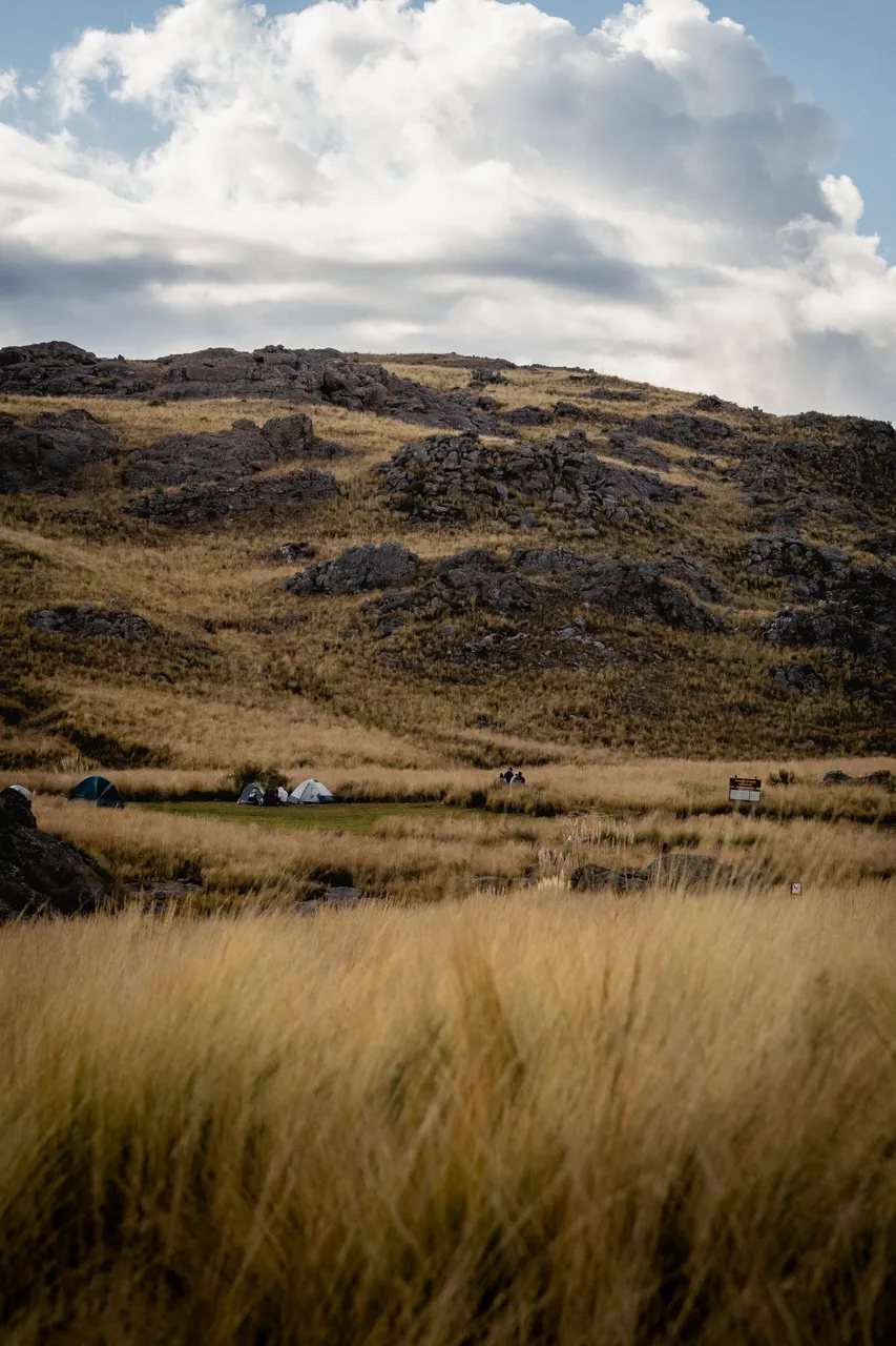_DSC5684.jpg