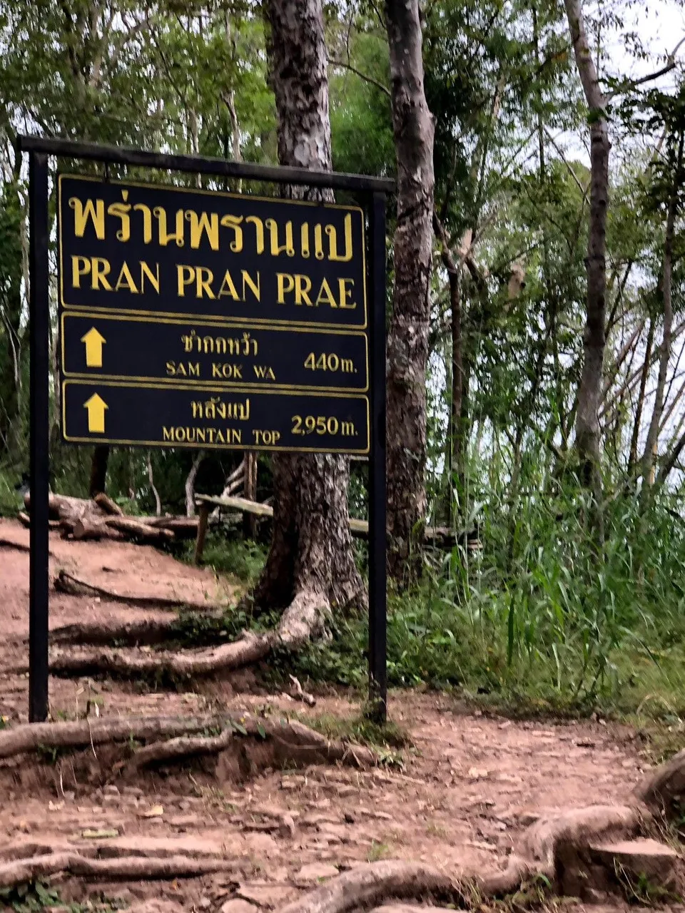 LINE_ALBUM_Phu kradeung_231007_81.jpg