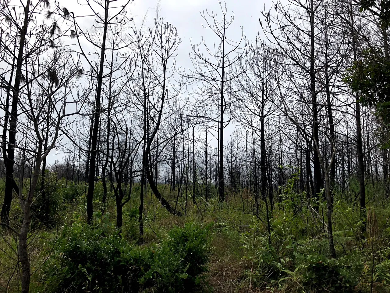 LINE_ALBUM_Phu kradeung_231007_54.jpg