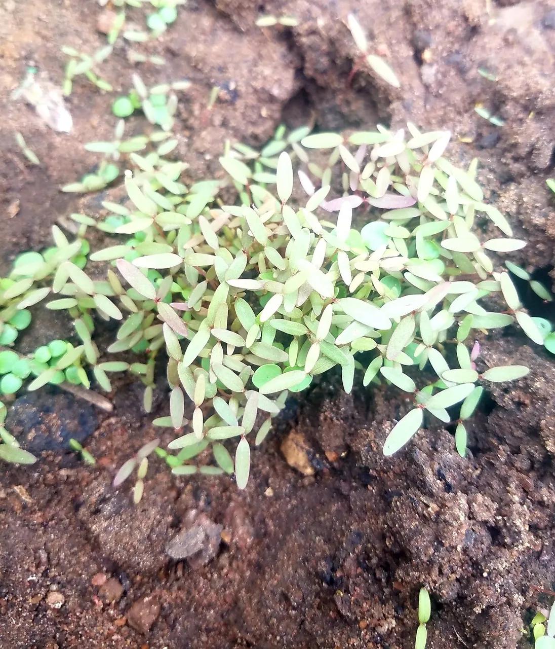 20210504_102710.jpg