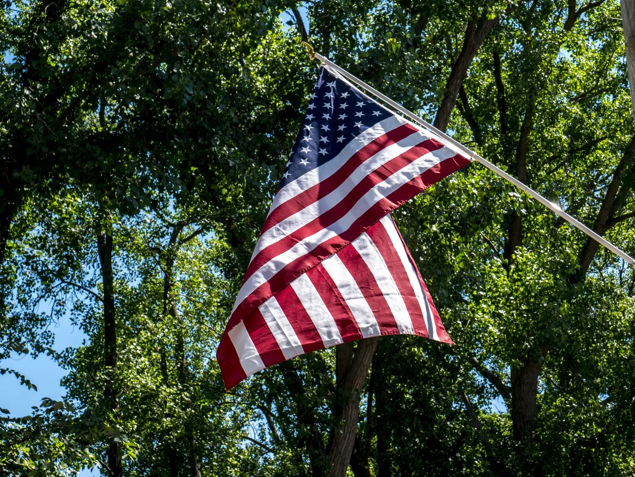 Flag_Trees_1__PS__P1080682.jpg