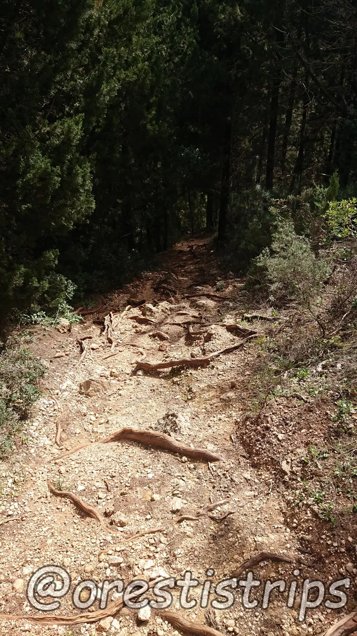 DSC_0084.JPG