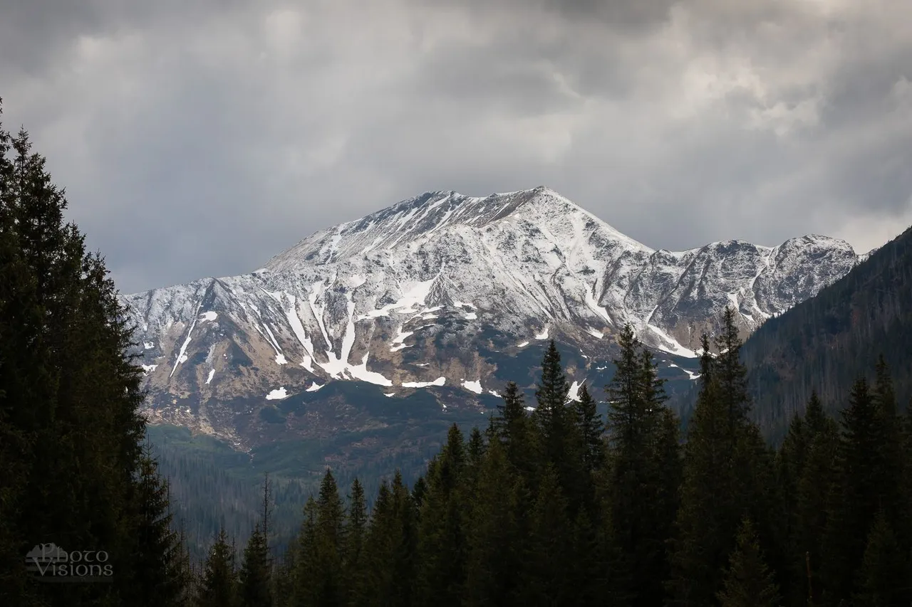 IMG_1889.jpg