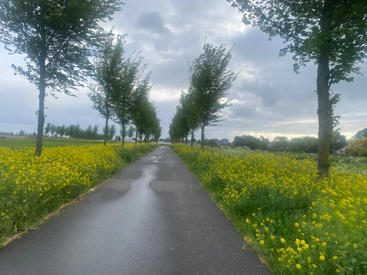 IMG_0083.jpeg