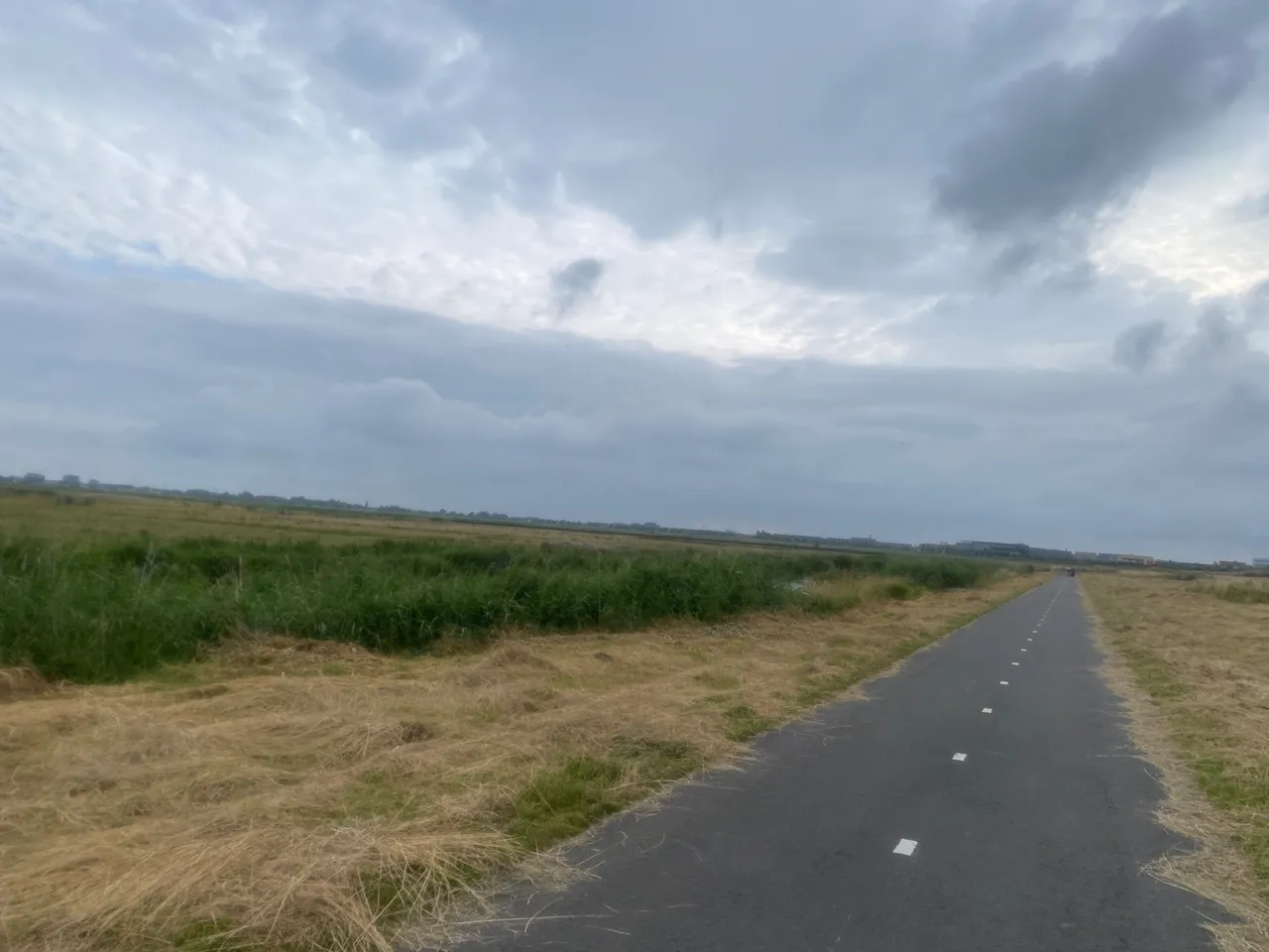 IMG_2502.jpeg