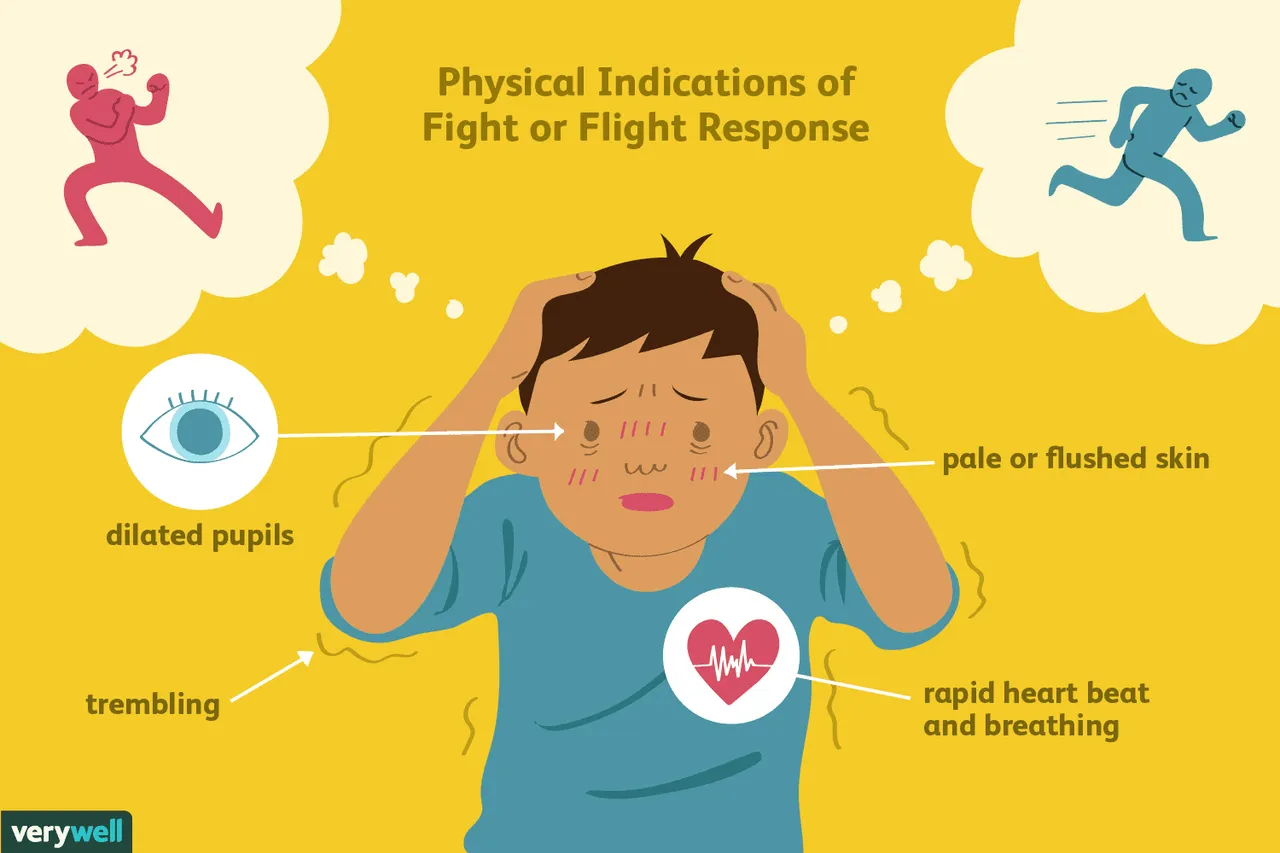 2795194-article-what-is-the-fight-or-flight-response-5a98601d8e1b6e0036df2951.png