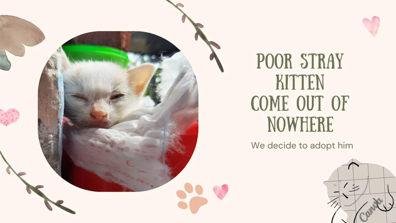 Brown Beige Playful Illustration Advocacy Pet Adoption Presentation.jpg