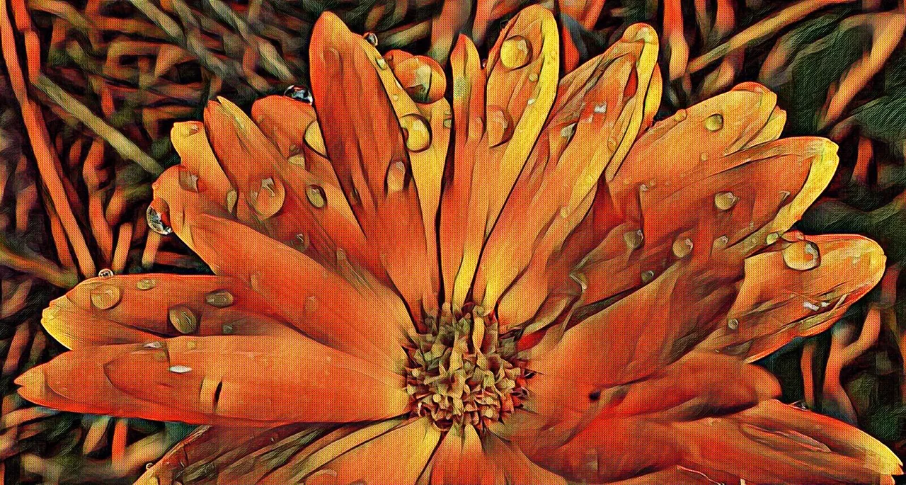RD-0019-OrangeArt.jpg