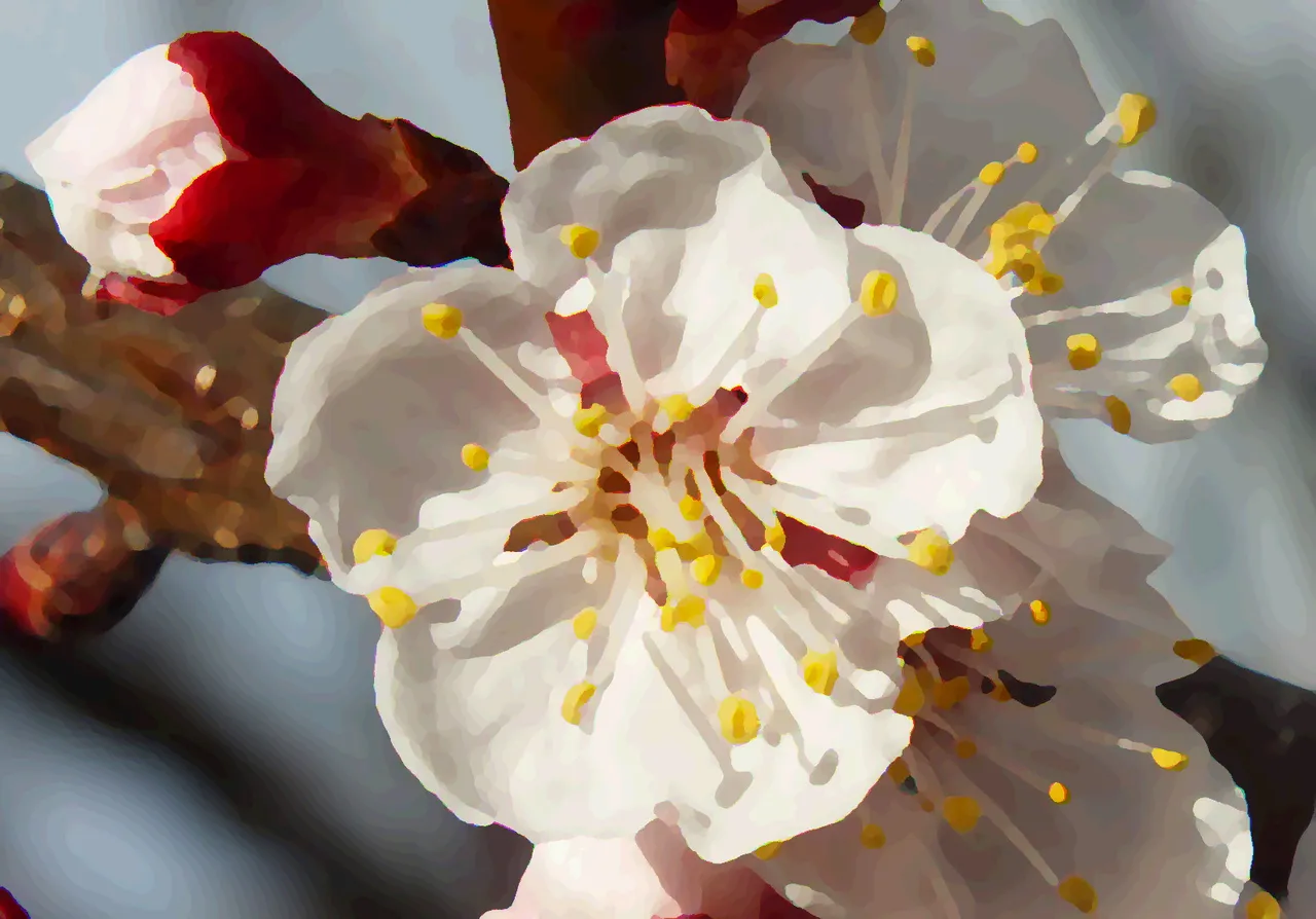RD0233-BlossomOil.jpg