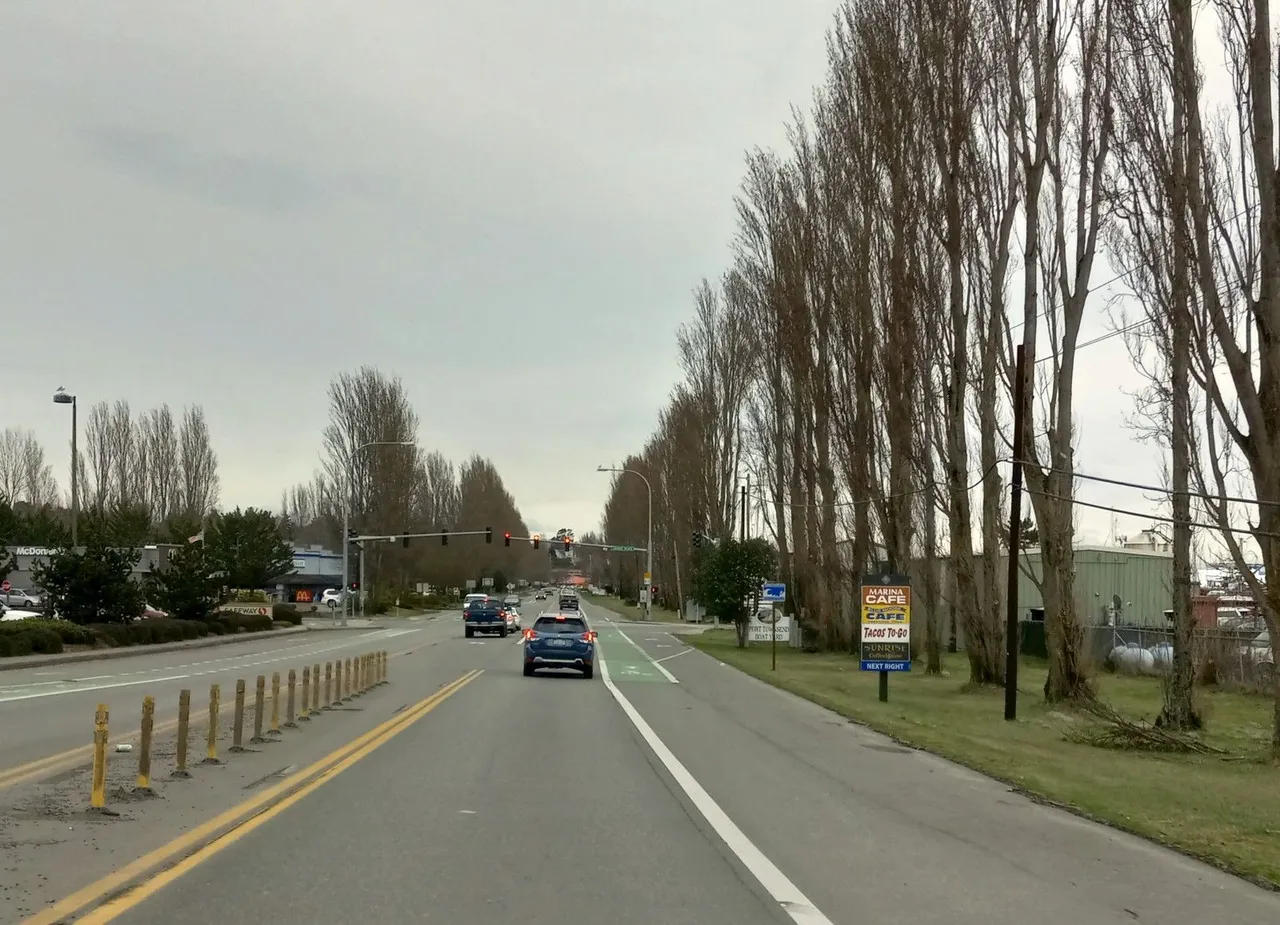 RD0088-Poplars2.jpg