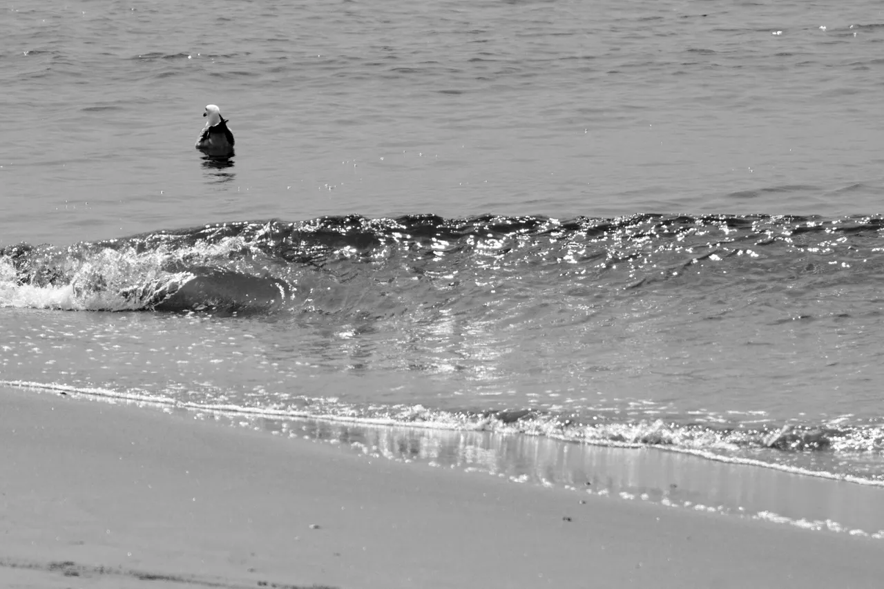 DSC00719.JPG
