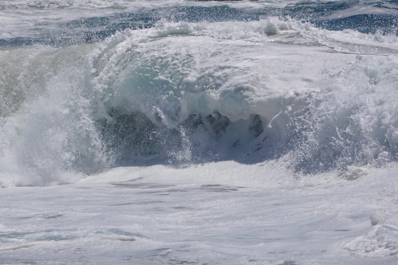 DSC02117.JPG