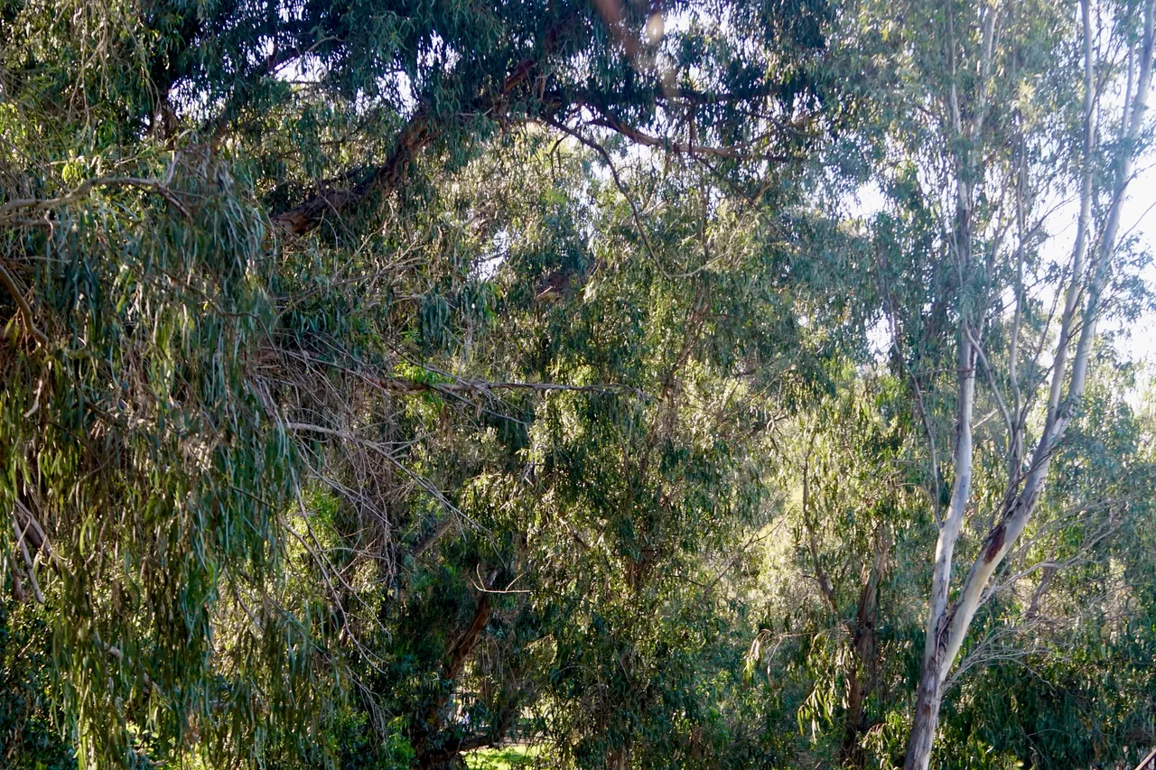 DSC03674.JPG