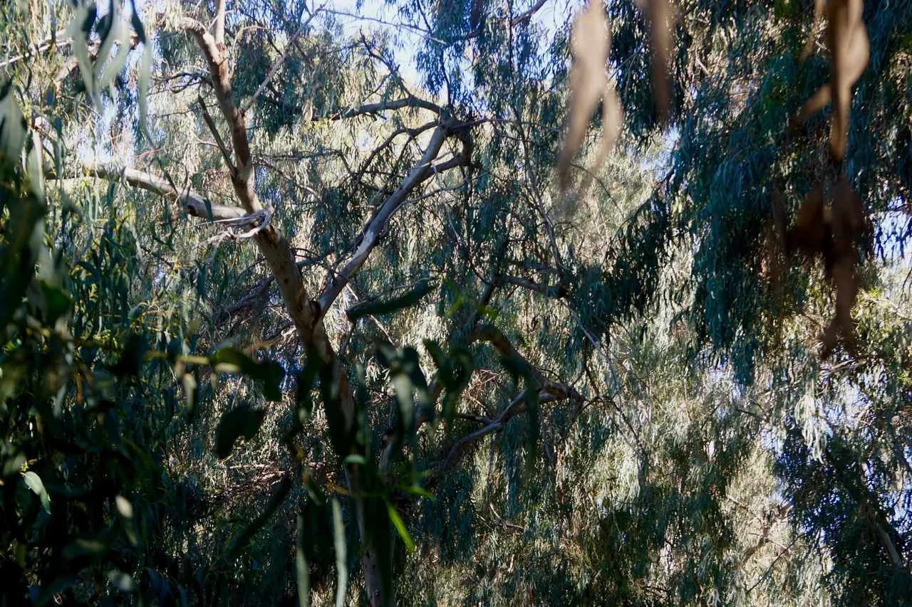 DSC03671.JPG