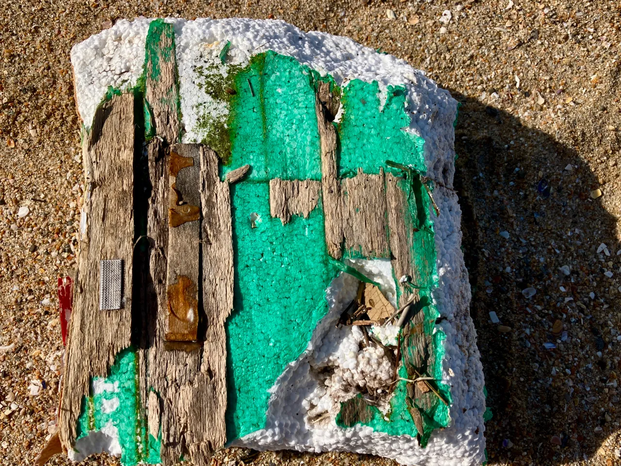 IMG_5003.jpg