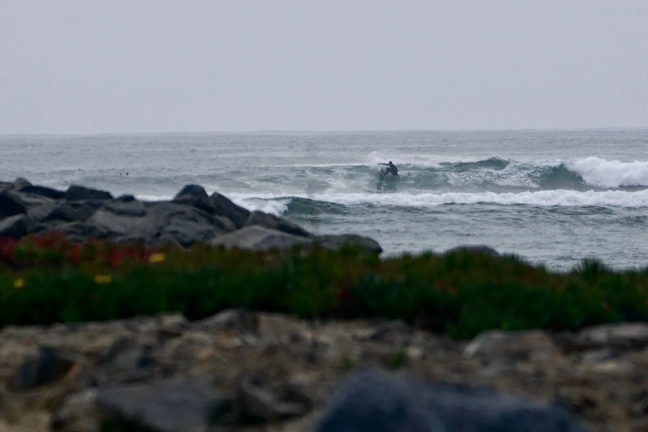 DSC00768.JPG