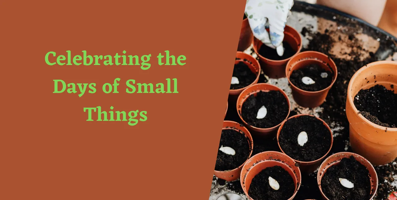 Celebrating the Days of Small Things .png