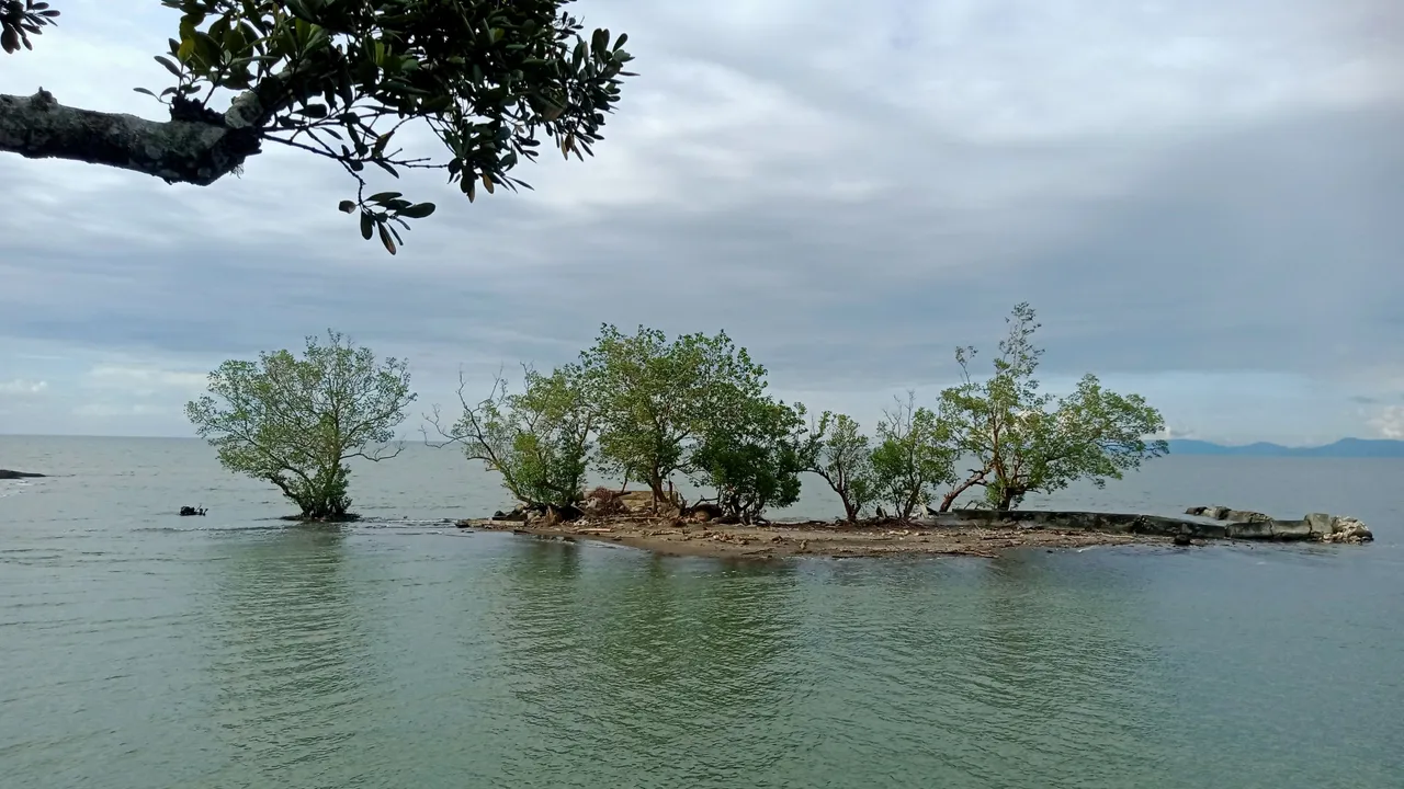 IMG_20230115_183857.jpg