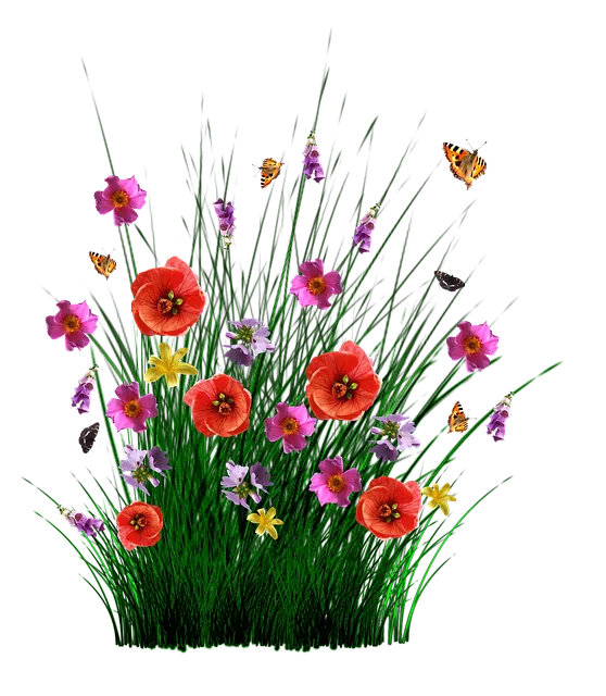 spring-1402599_640.png