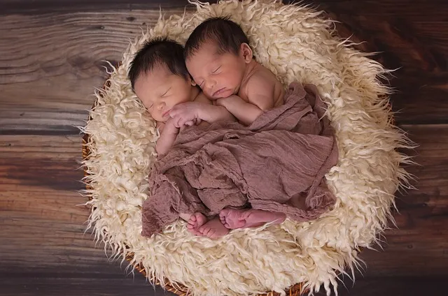 twins-1628843_640.jpg