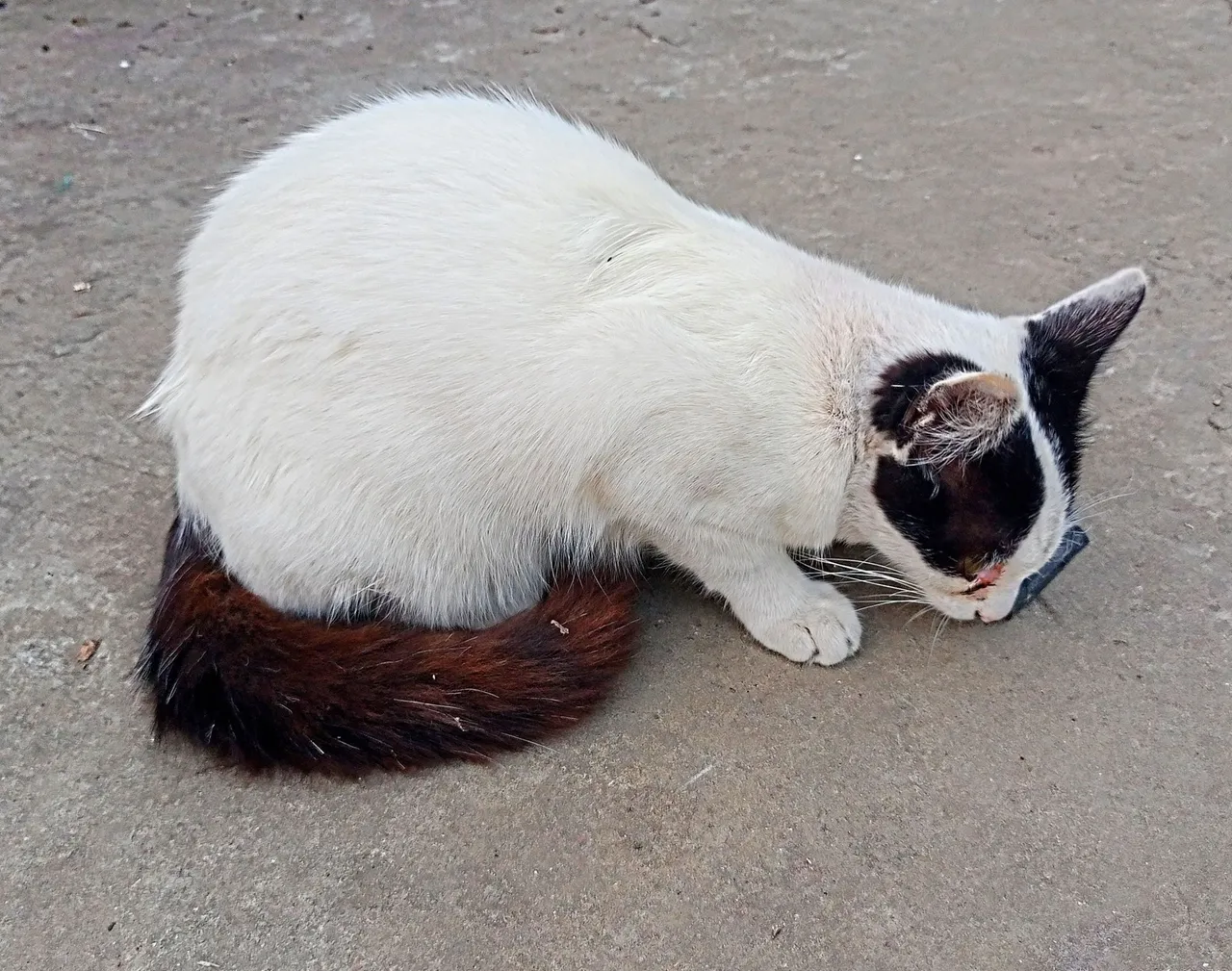 IMG20220212172717_01~2.jpg