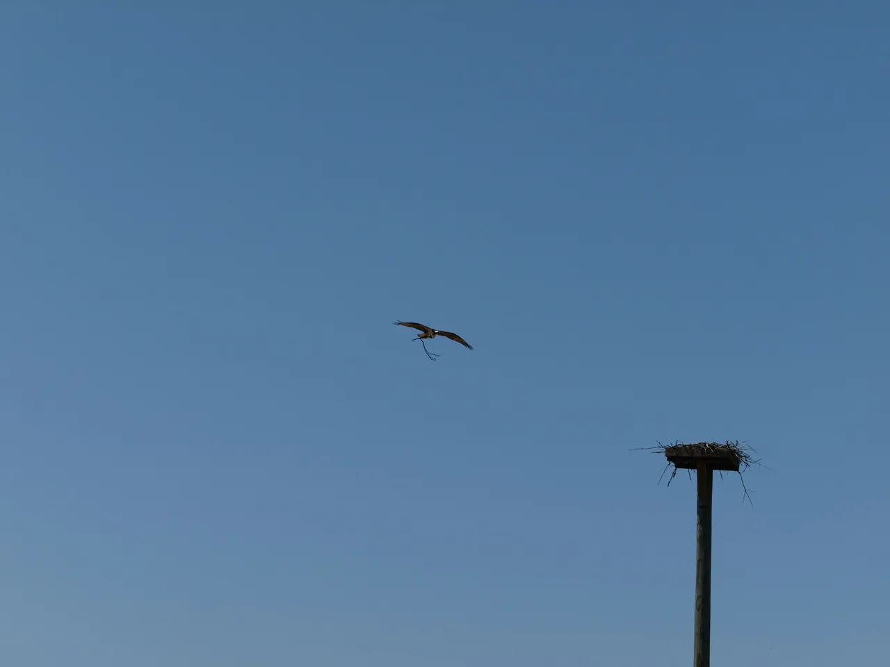 P1013303.JPG