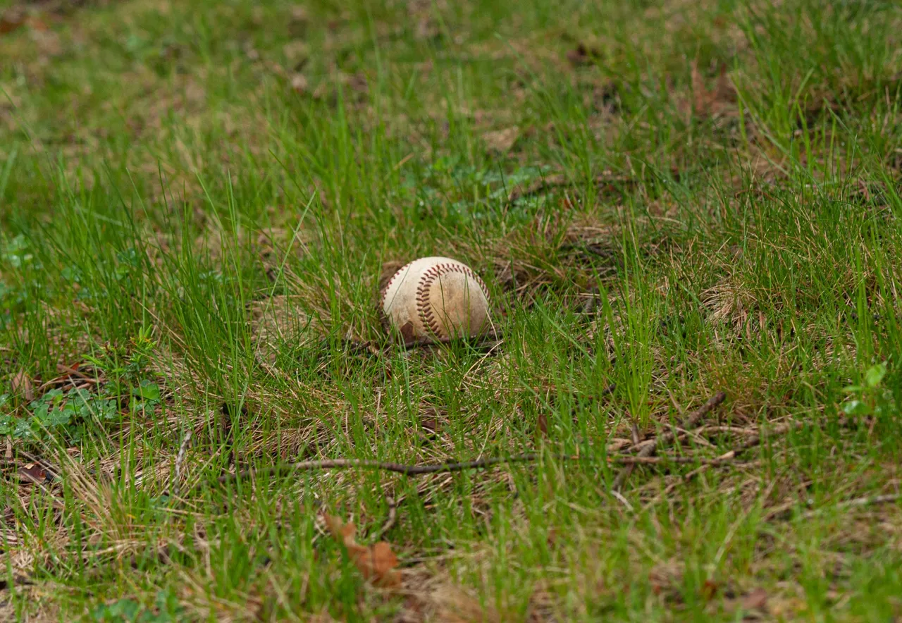 P1011452 copy.jpg