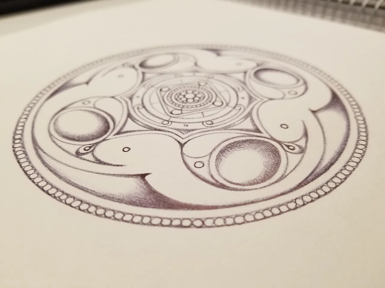 20250227_162526.jpg