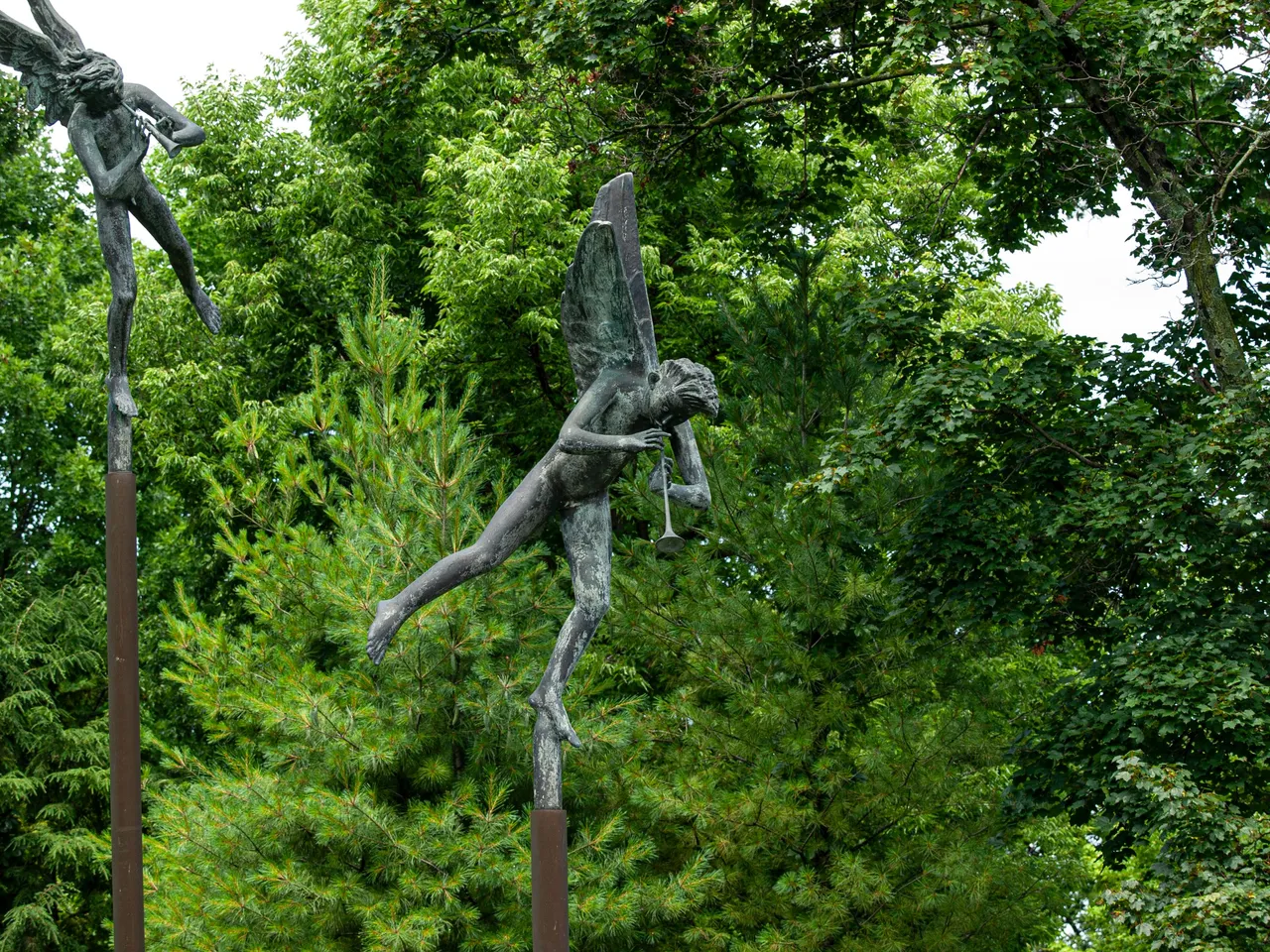 P1013650 copy.jpg