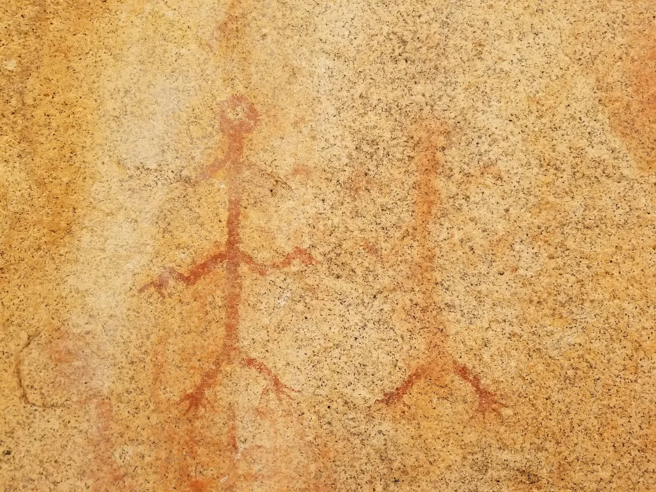 20250328_135630.jpg