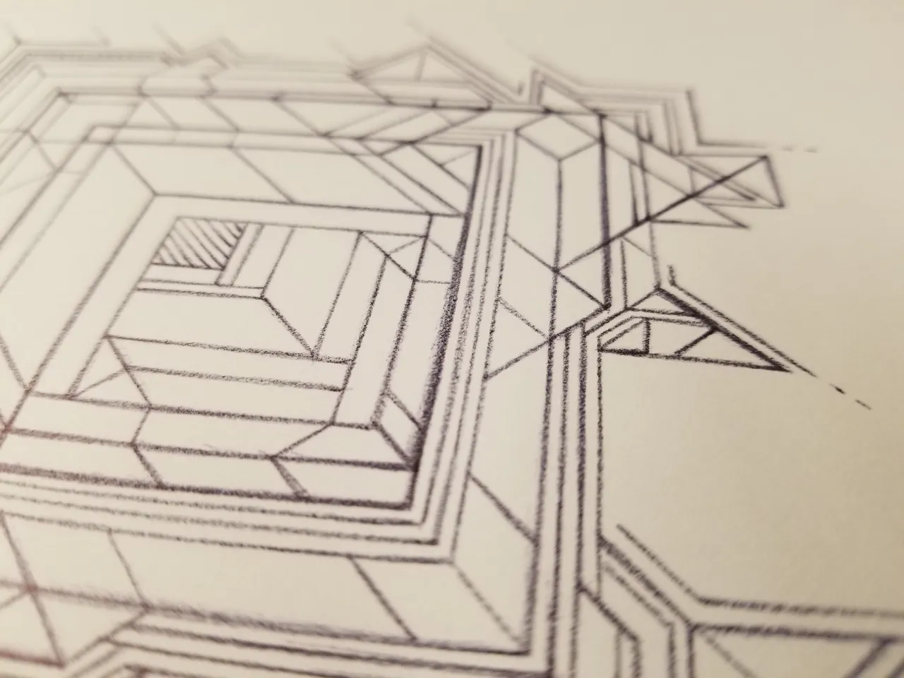 20250403_145044.jpg