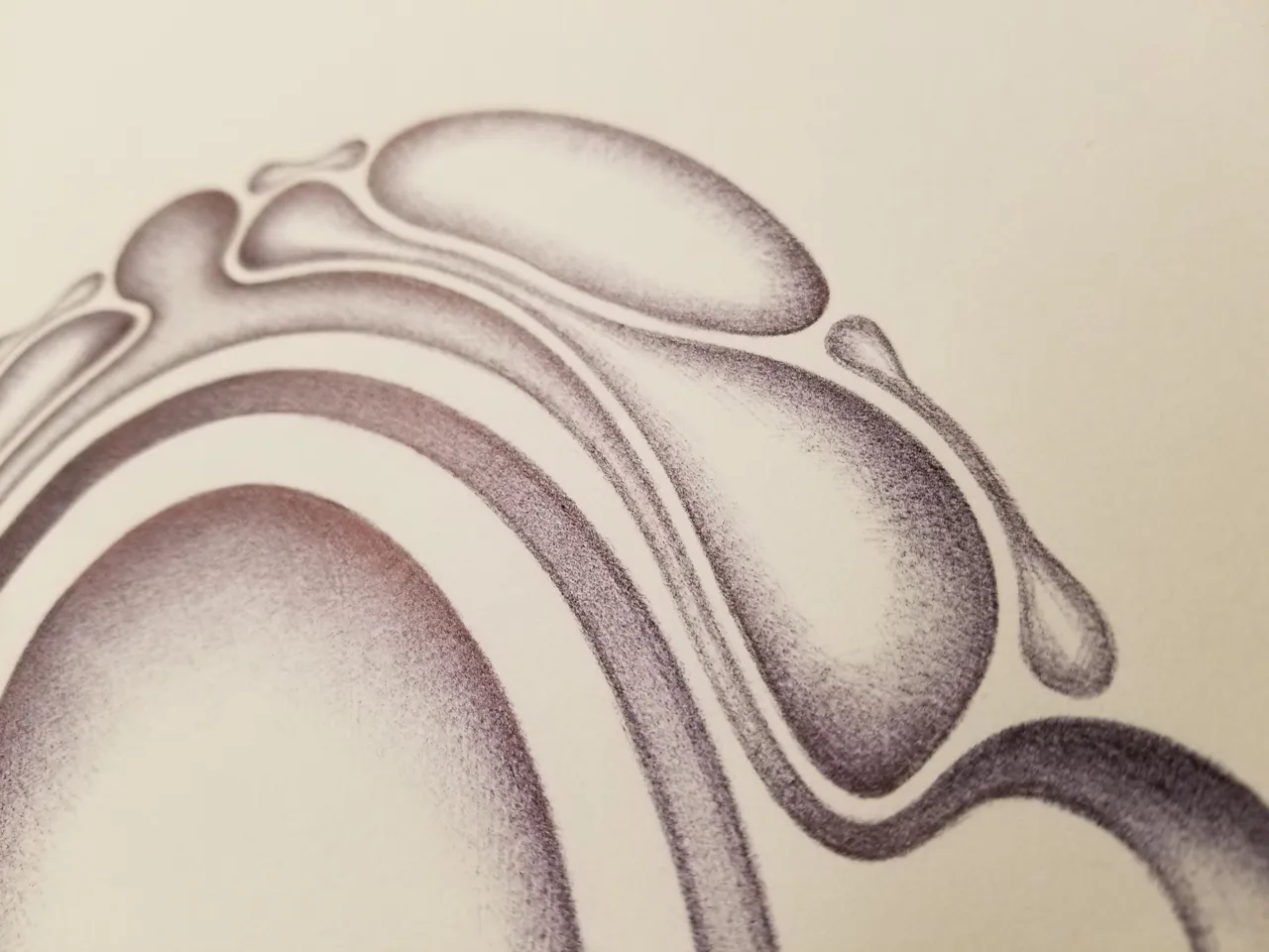 20250424_073541.jpg