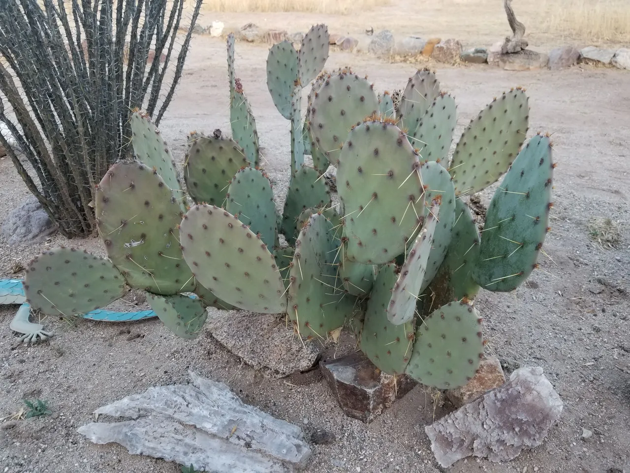 20250328_181410.jpg