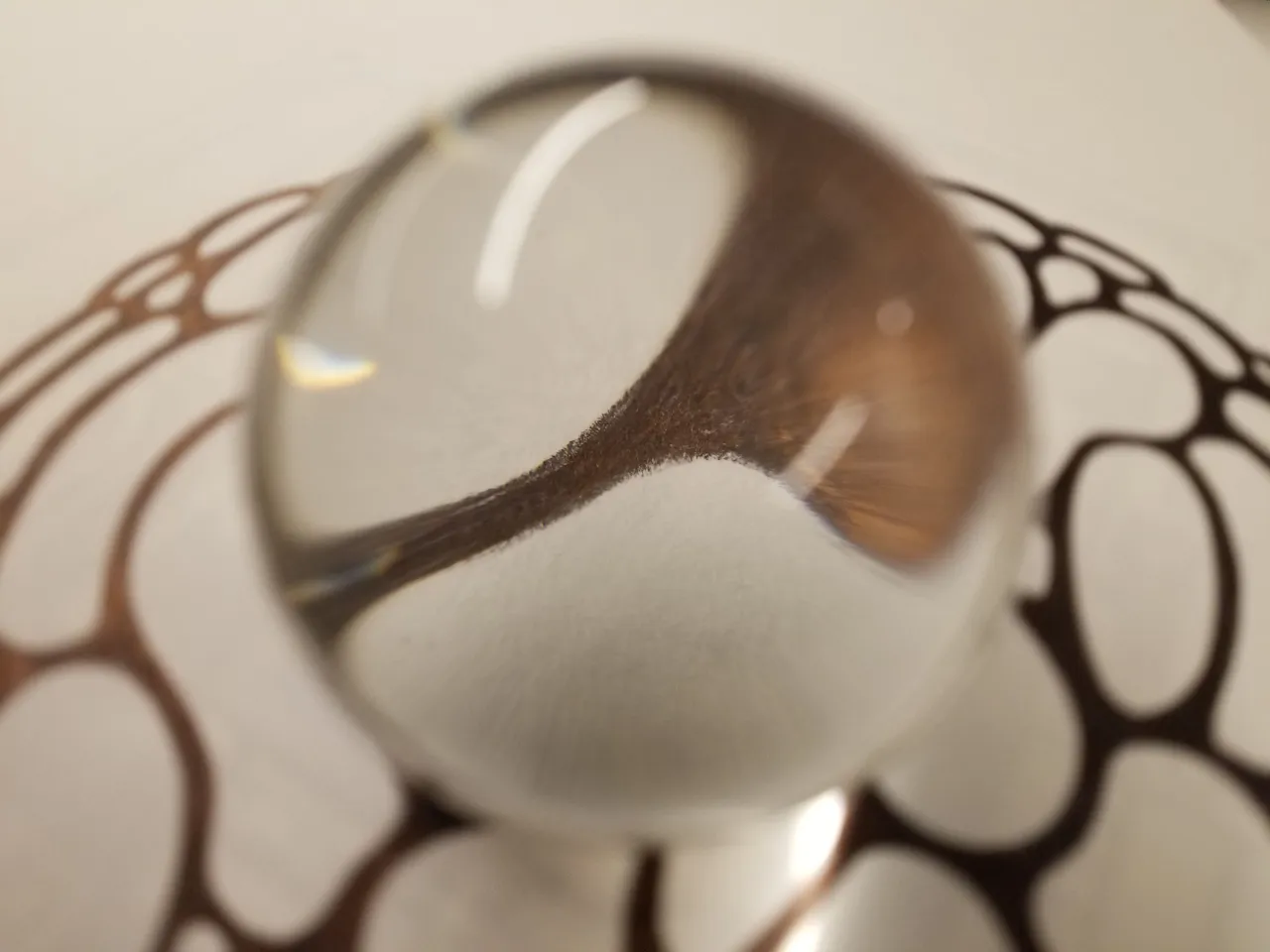 20250213_080216.jpg