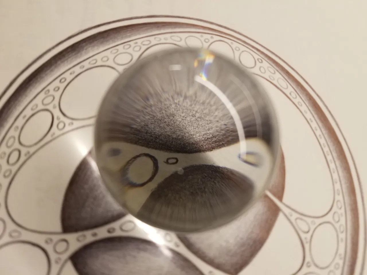 20250213_075552.jpg