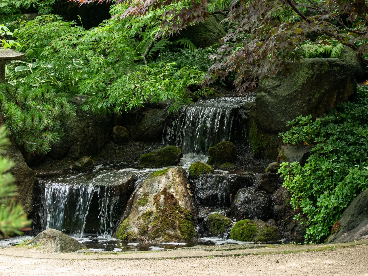P1013641 copy.jpg