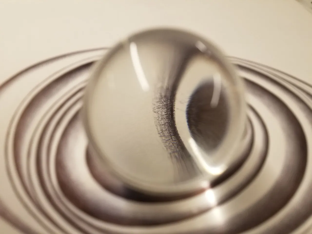 20250213_071422.jpg