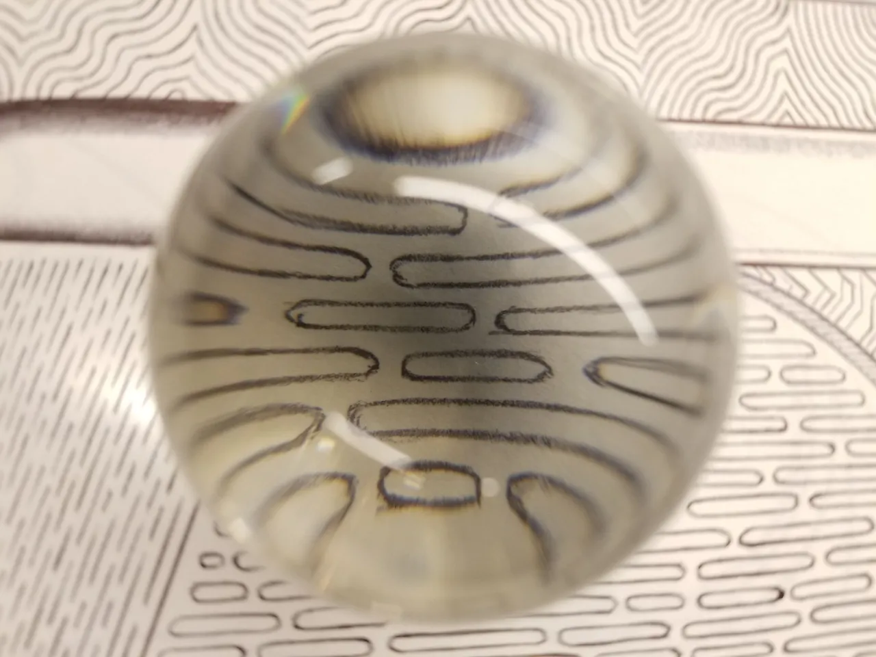 20250213_075919.jpg