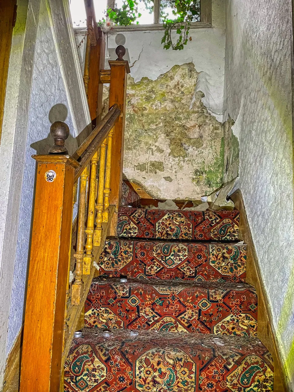 11_IMG_7747_11.jpg